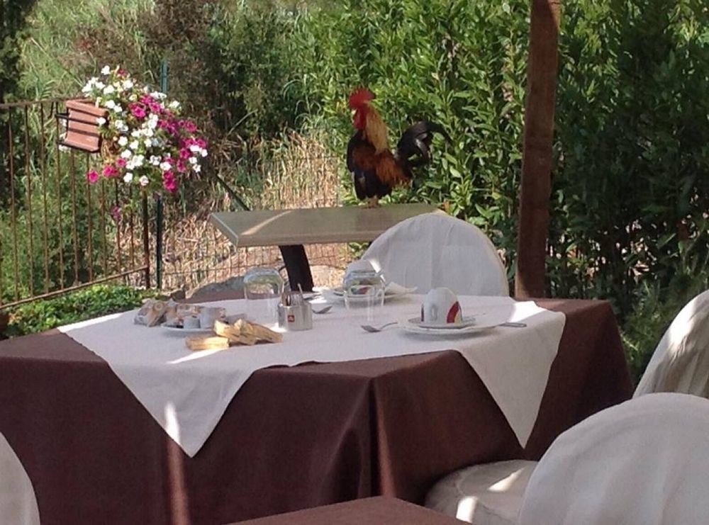 La Locanda Di Ortimino Montespertoli Buitenkant foto
